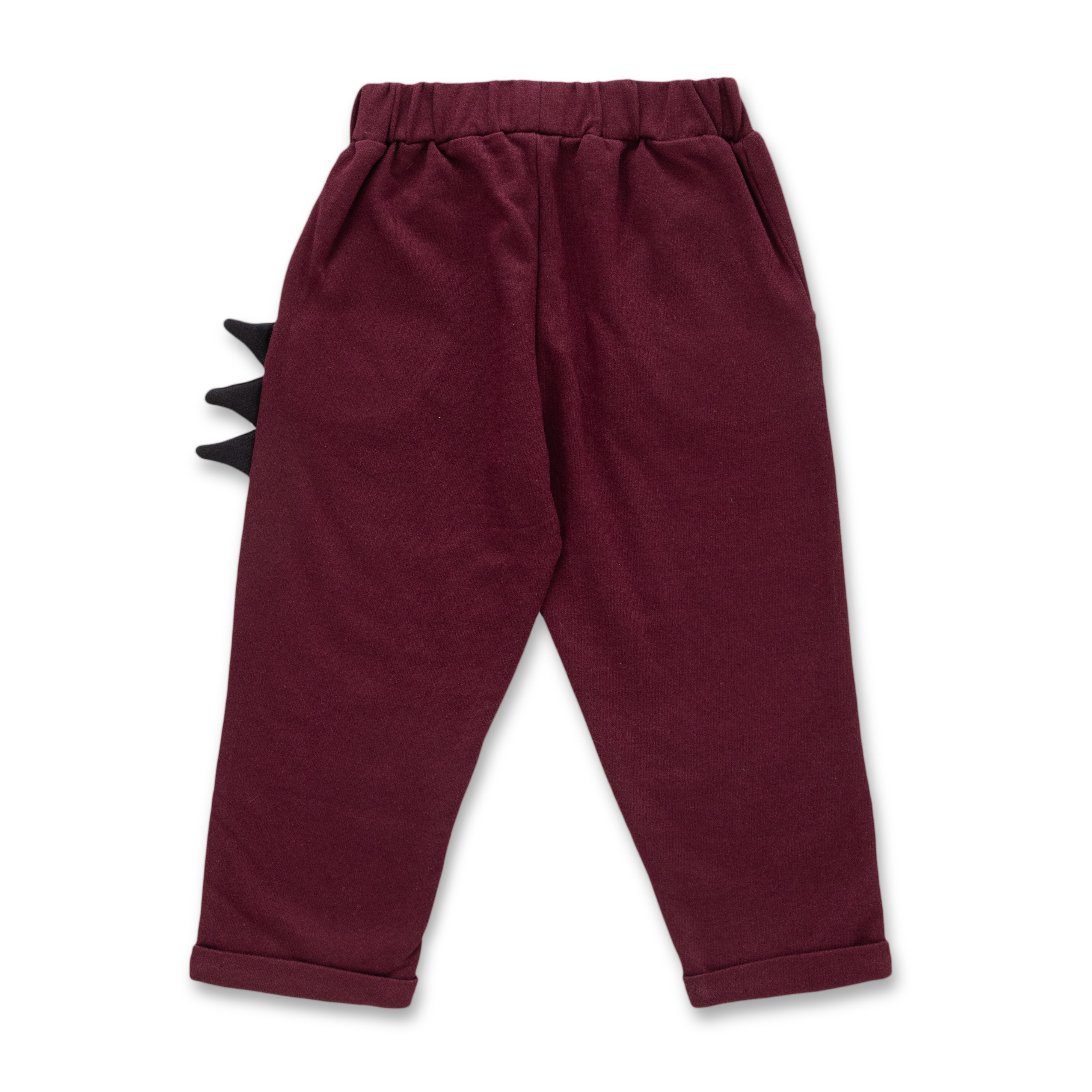 Boys Solid Track Pant