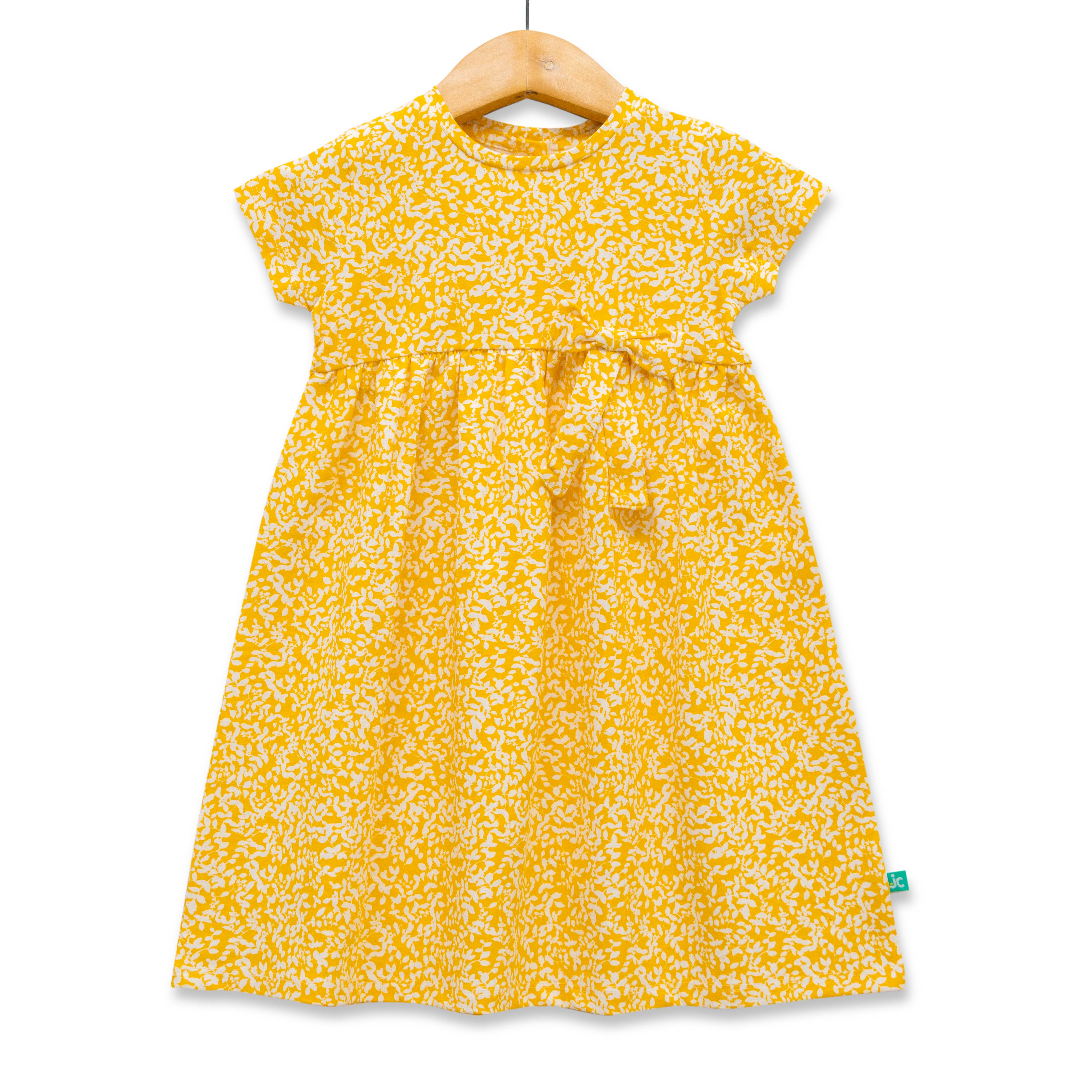 Baby Girls All Over Printed Fit & Flare Dress