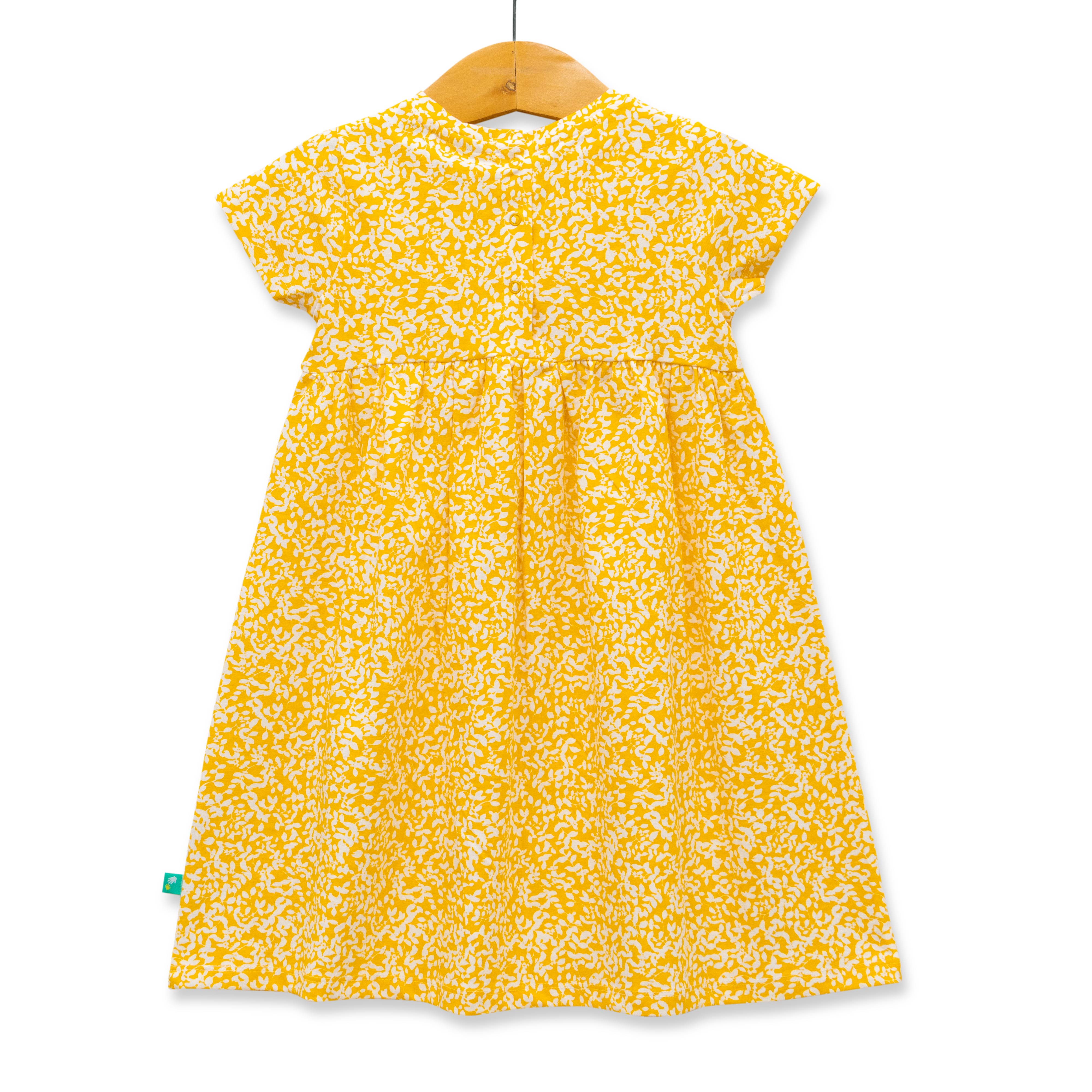 Baby Girls All Over Printed Fit & Flare Dress