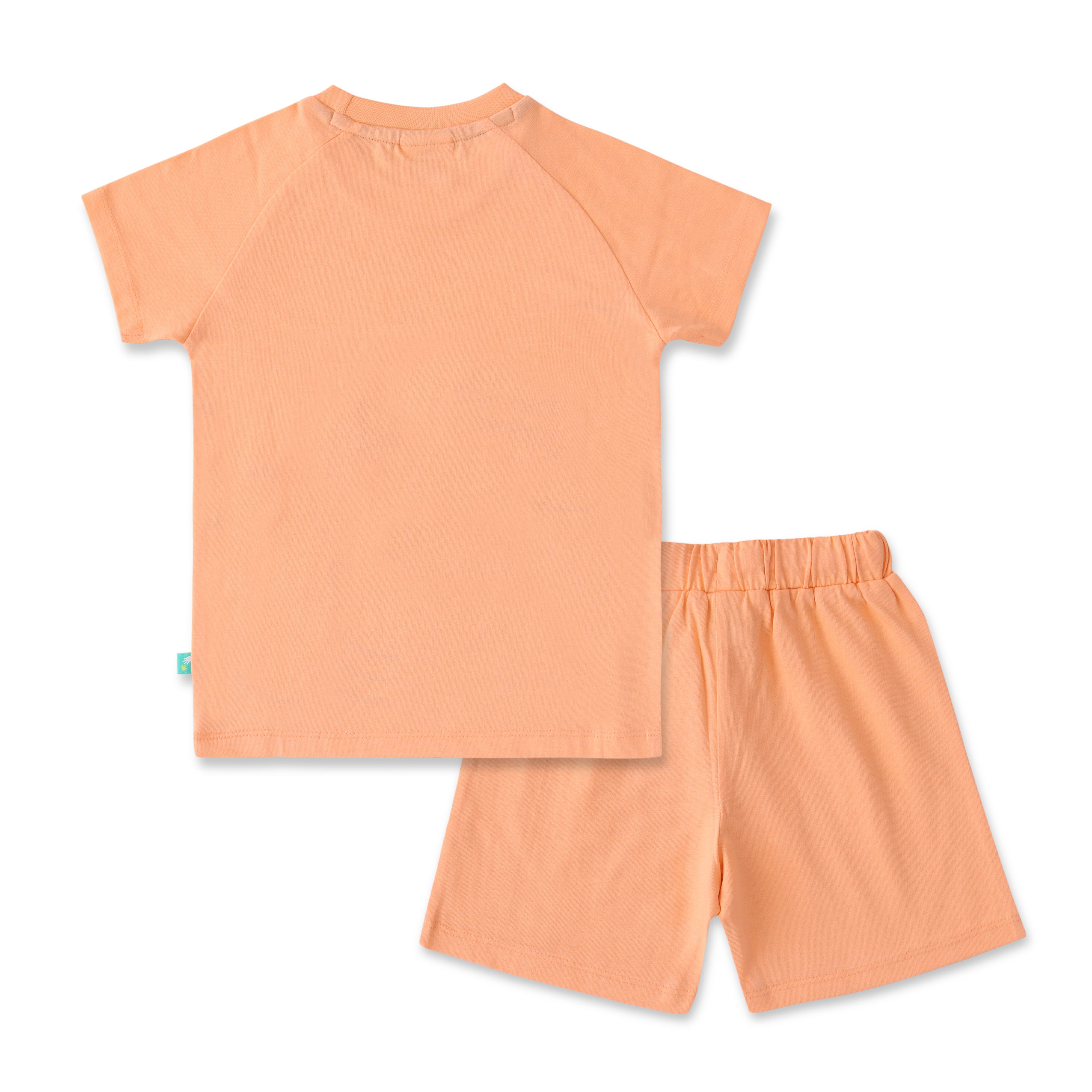 Baby Boys Printed T Shirt & Solid Shorts Set