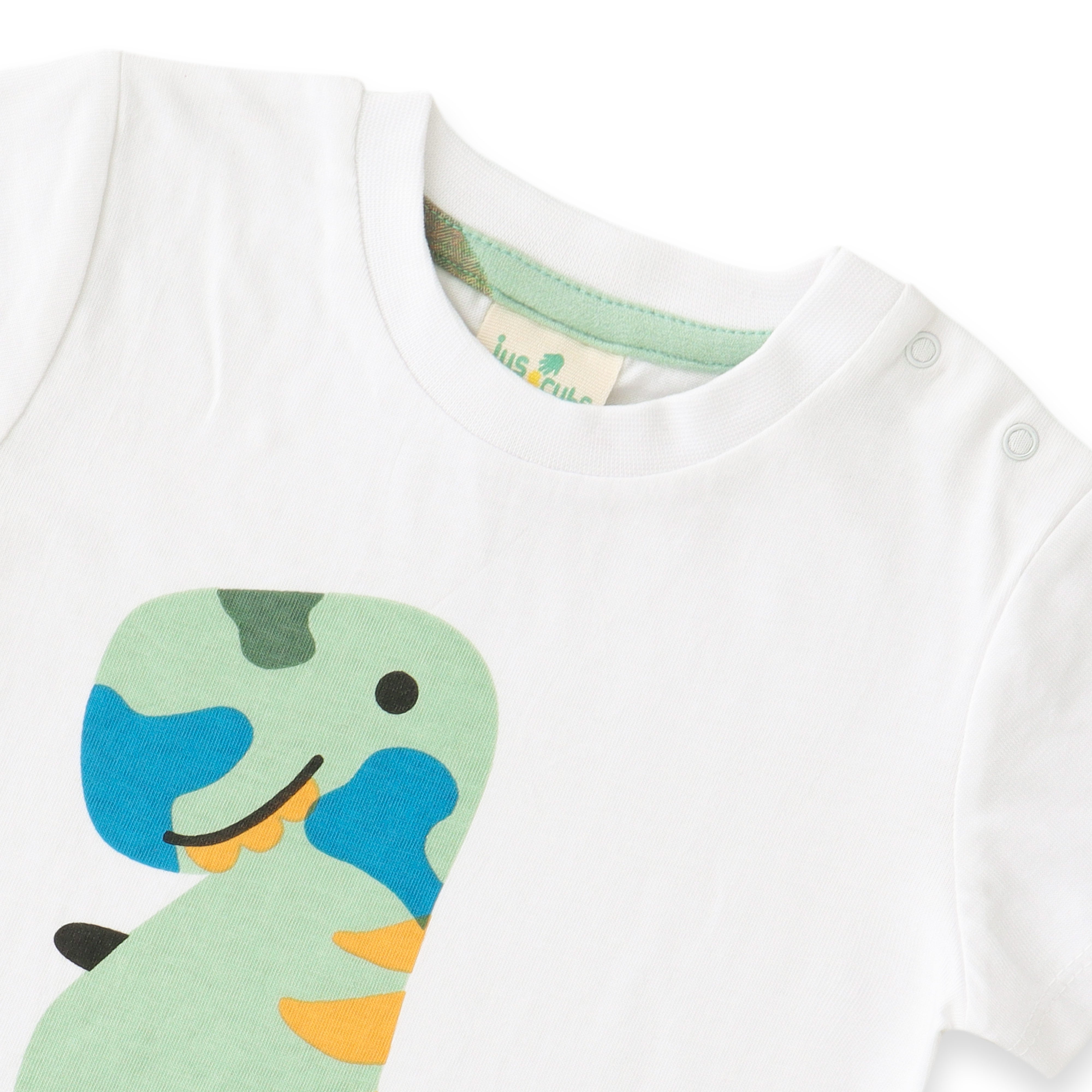 Baby Boys Graphic Printed T Shirt & Solid Pant