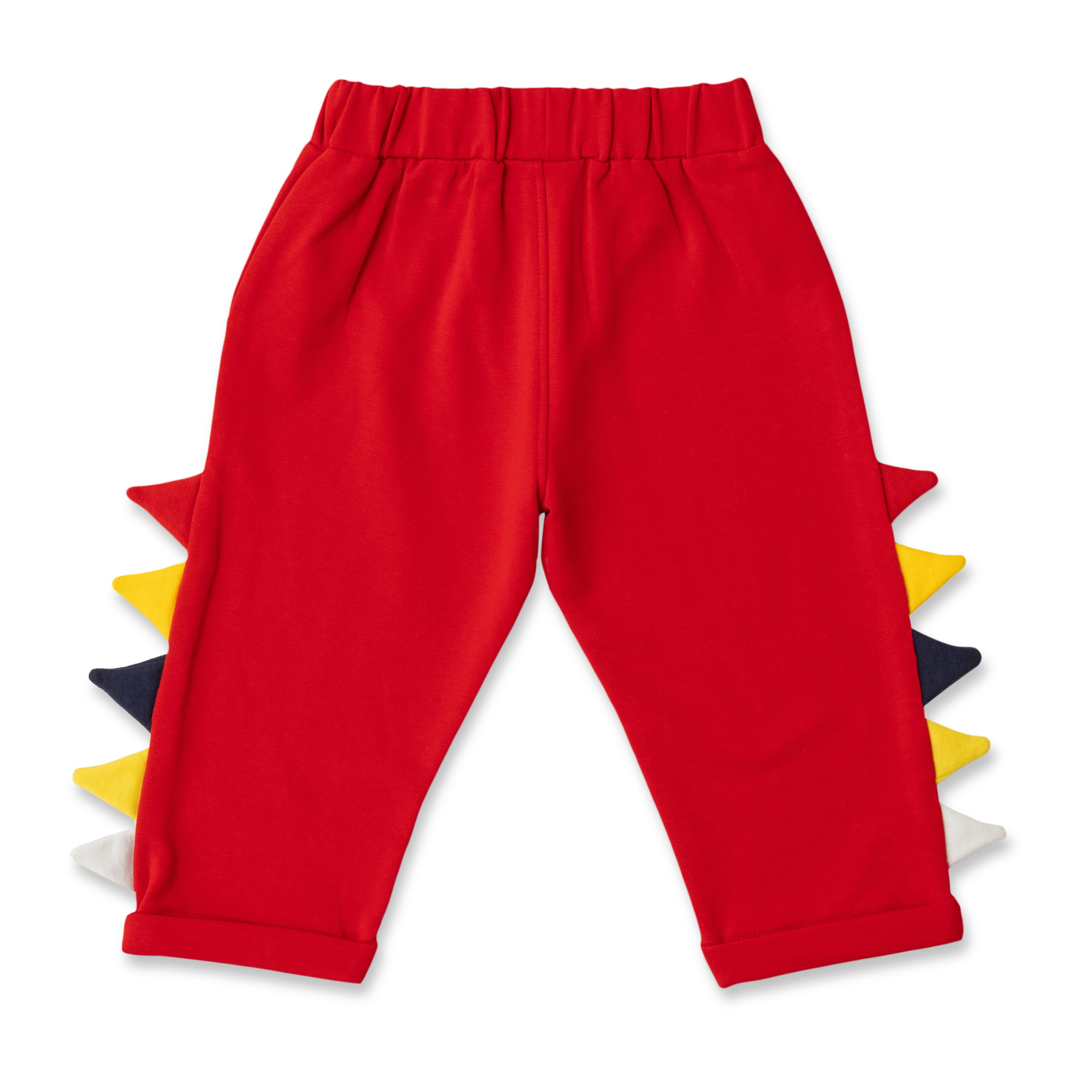 Baby Boys Graphic Printed T Shirt & Solid Pant