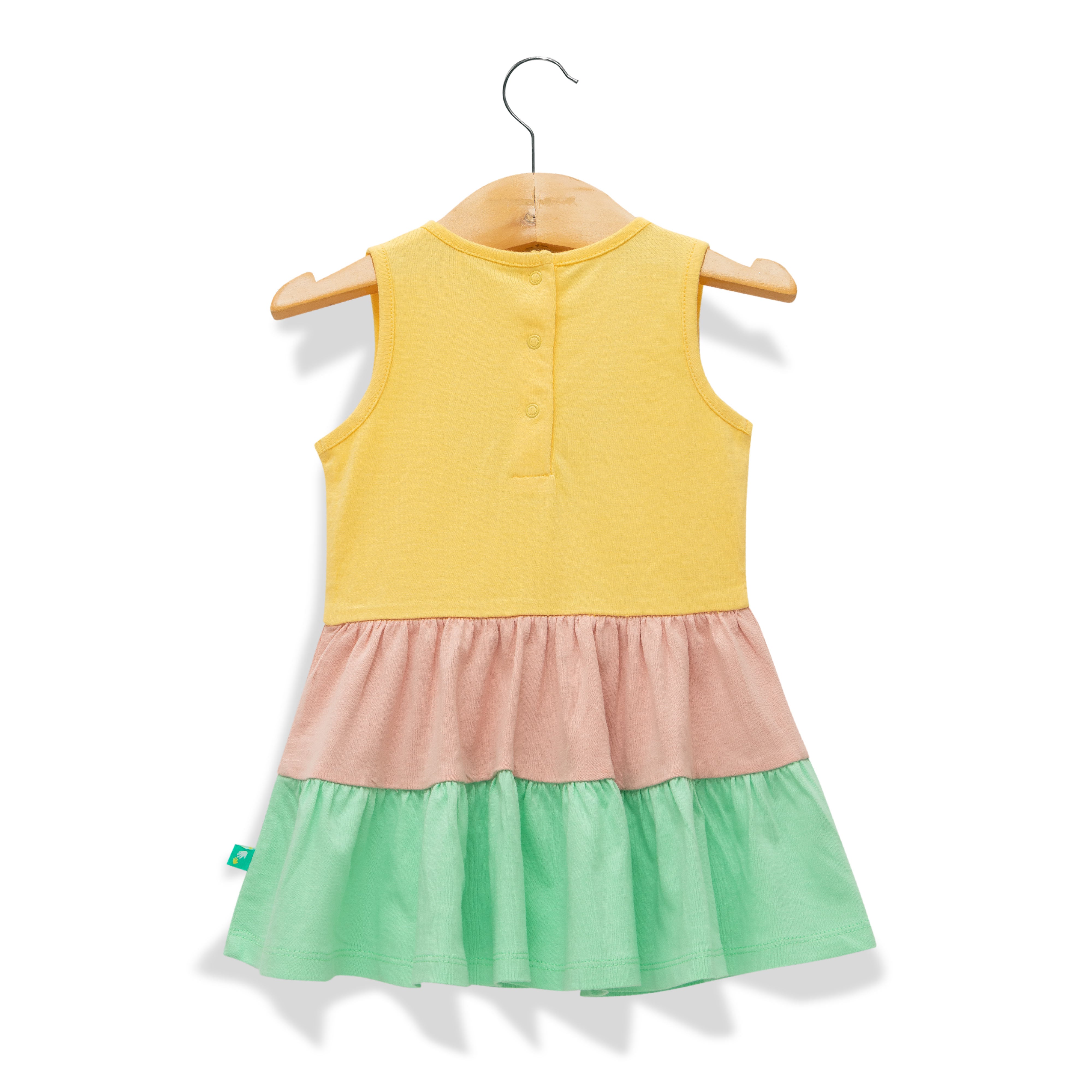 Baby Girls Embroidery Fit & Flare Dress