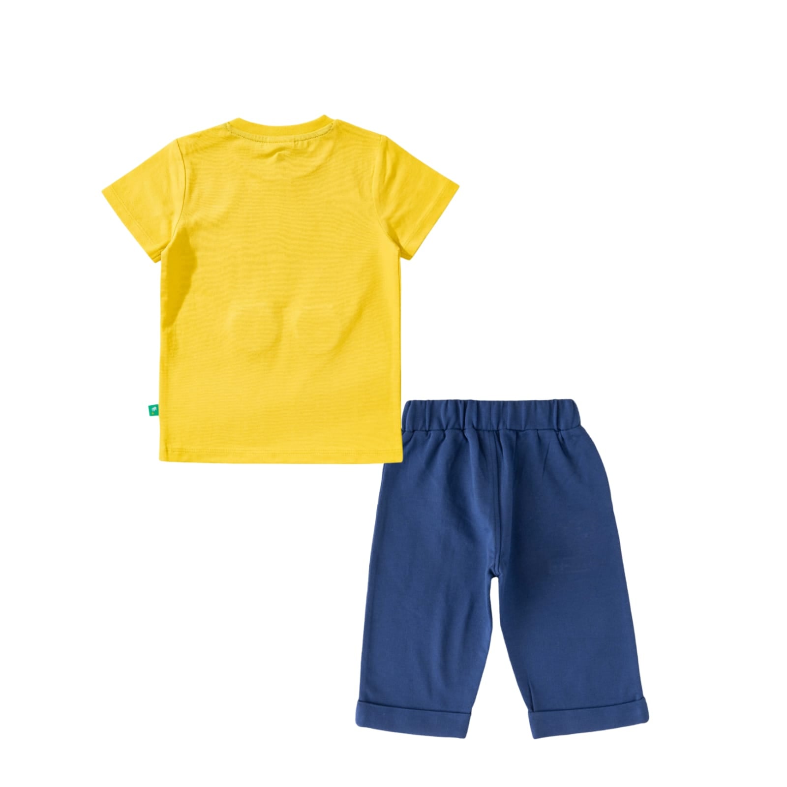 Baby Boys Graphic Printed T Shirt & Solid Pant